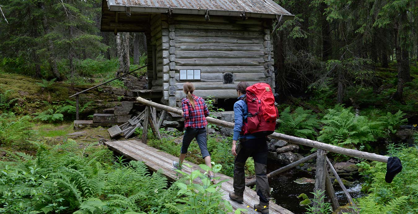 vasaloppsarenan_sommar_vandring_skog_1350x690