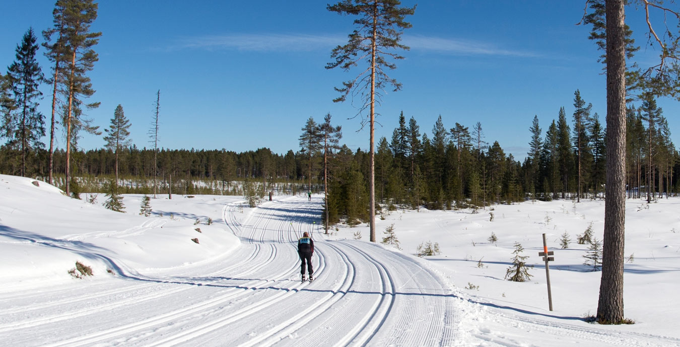 vinter_spar_sol_himmel_1350x690