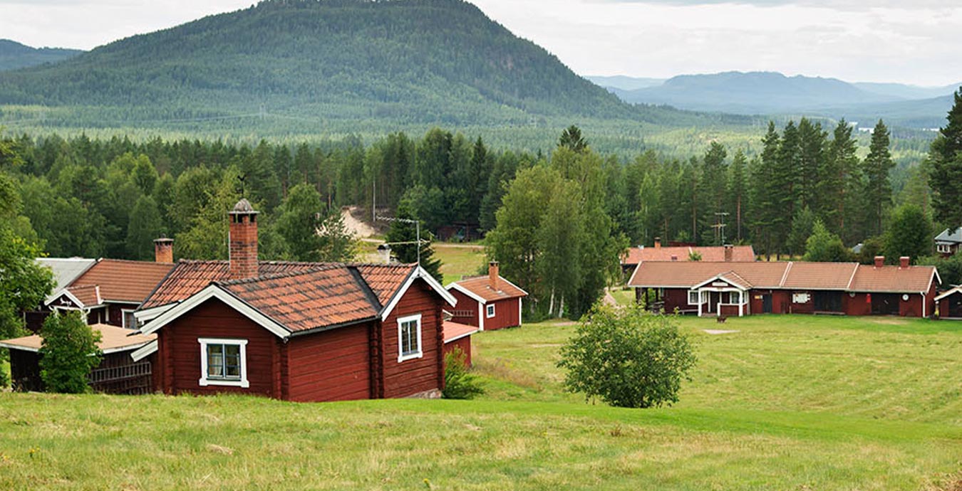 sommar_boende_stugor_1350x690