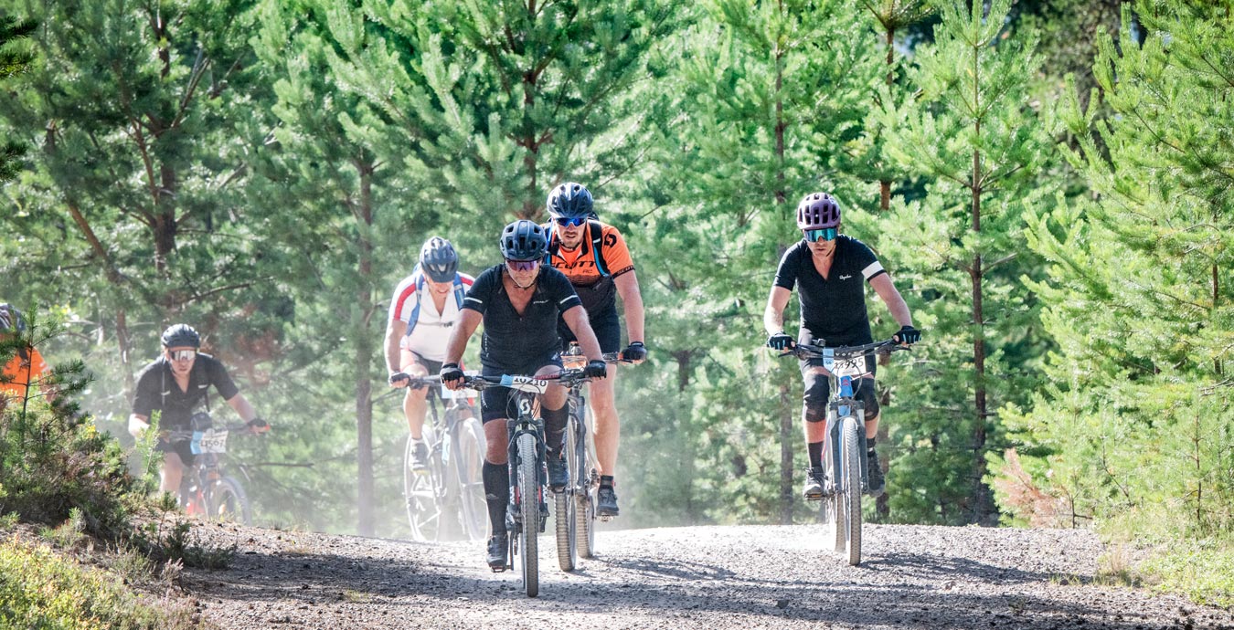 cyklister på grusväg genom ung tallskog, Cykelvasan 45